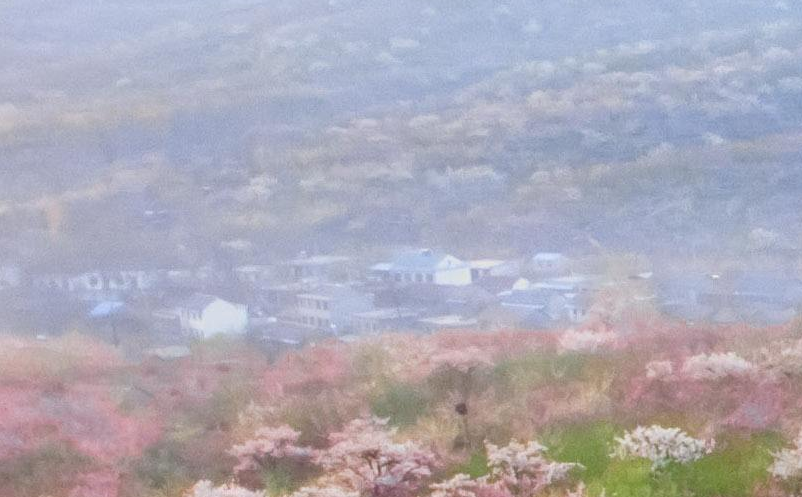 景区营销销售促进策略制定 景区营销销售促进策略制定