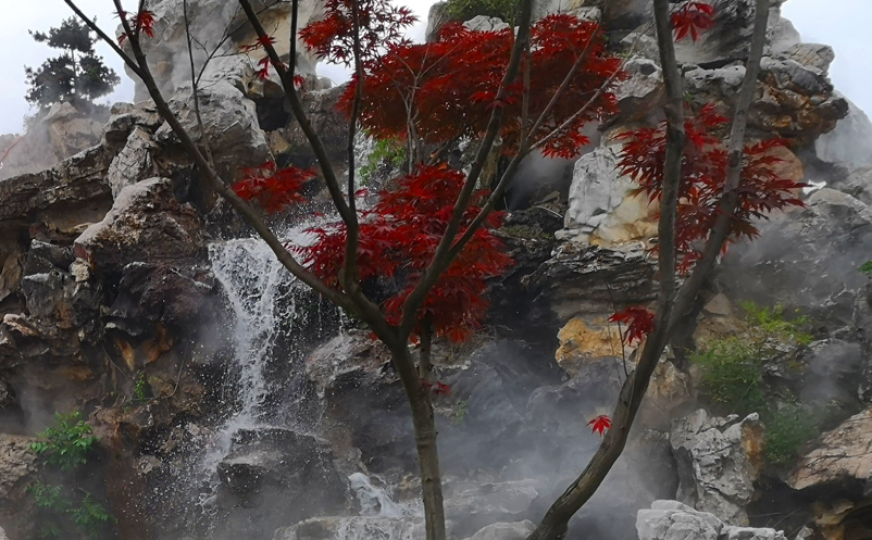 1640150740616410.png image.png