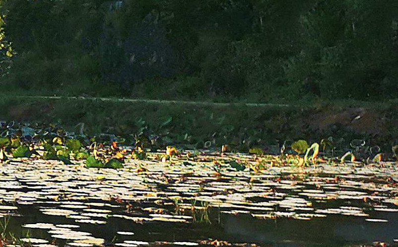 景区自媒体营销应根据自媒体特点和景区特色选择恰当的营销手段 景区自媒体营销应根据自媒体特点和景区特色选择恰当的营销手段