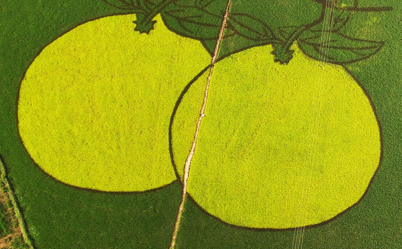 旅游景区如何用微信公众号打造私域流量 旅游景区如何用微信公众号打造私域流量