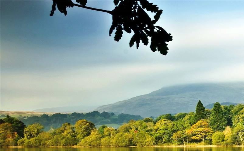 1646113645345936.png image.png