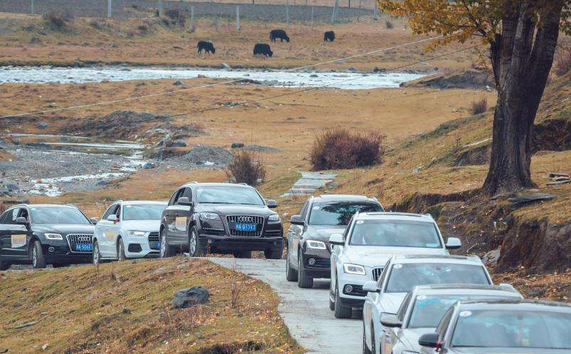 1646903783682087.png image.png