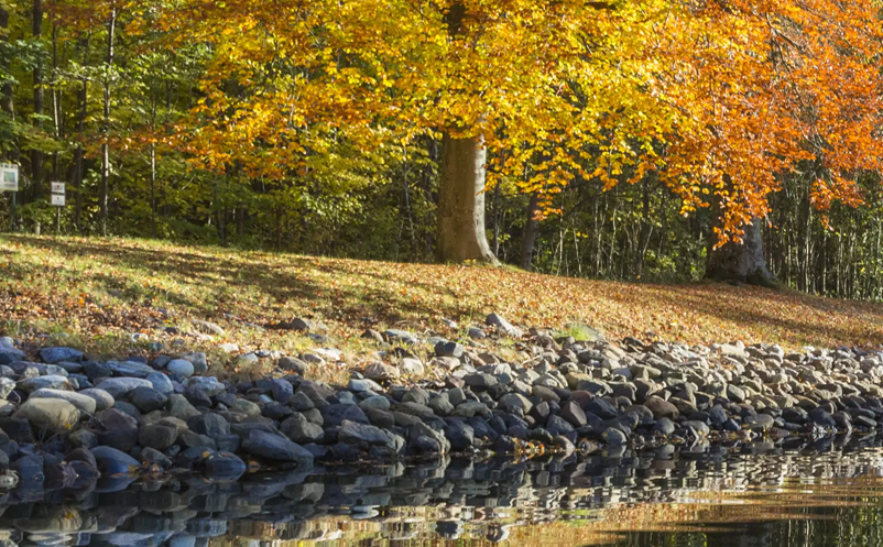 1649667558561613.png image.png