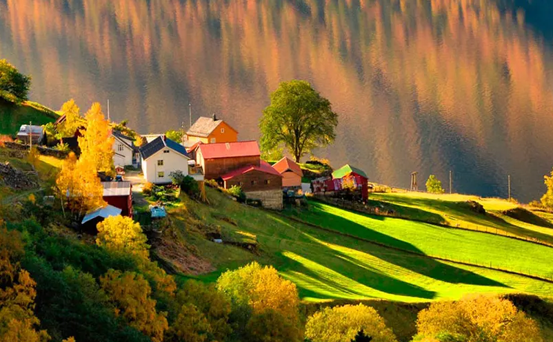 1650612175500691.png image.png