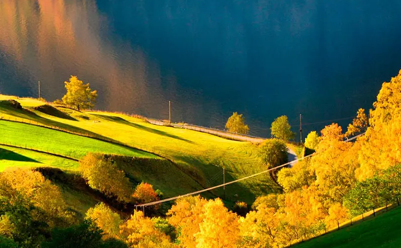 1650612193933336.png image.png