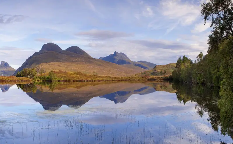 1650867020896790.png image.png