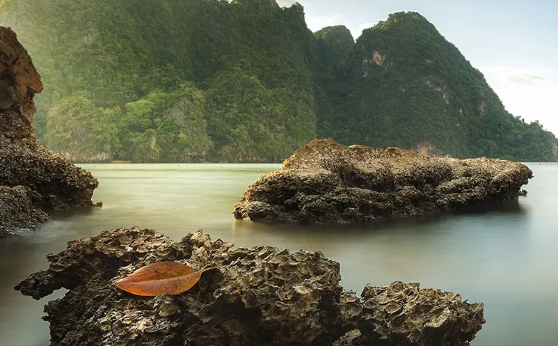 1652693449936984.png image.png