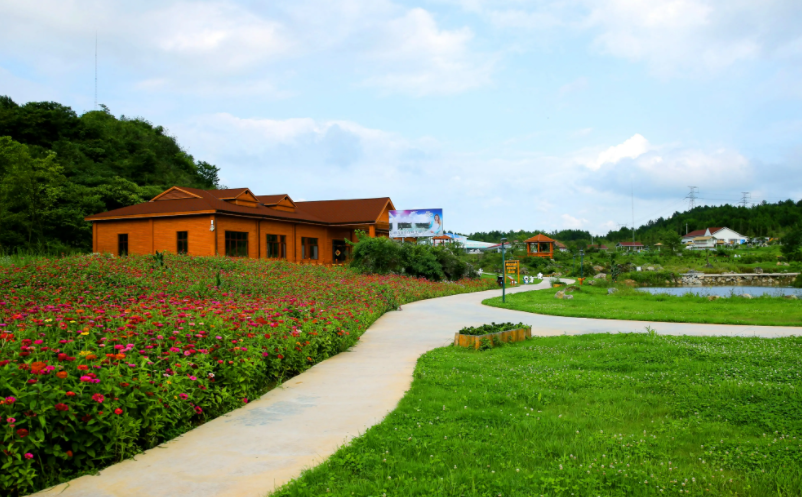 1653469895498355.png image.png