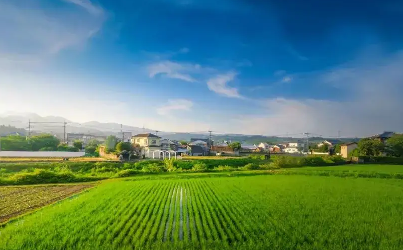 1653987228513423.png image.png