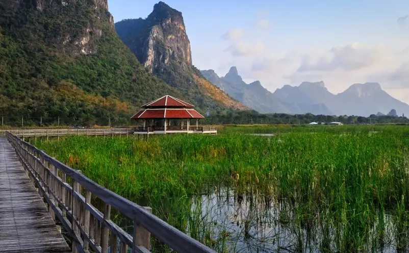 1654767537812491.png image.png