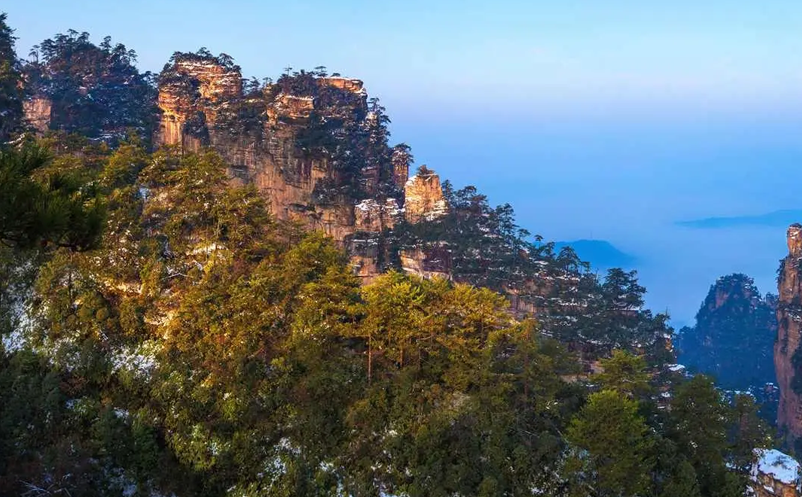 景区运营模式实施步骤