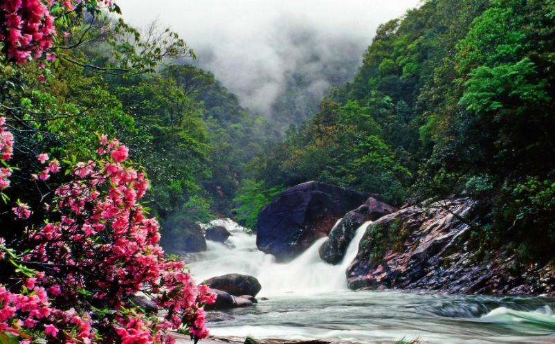 1655456887455929.png image.png