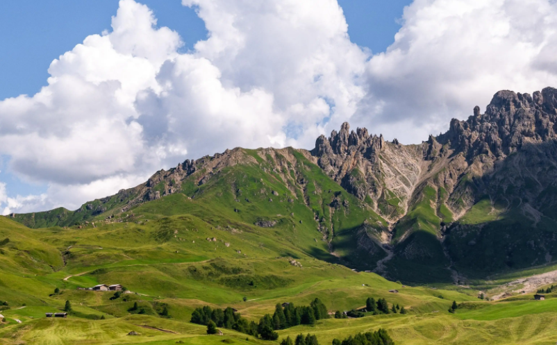 1655794119422905.png image.png