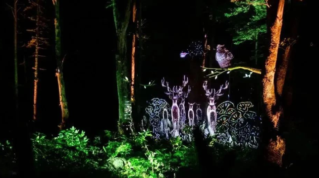 1656402754244803.png image.png