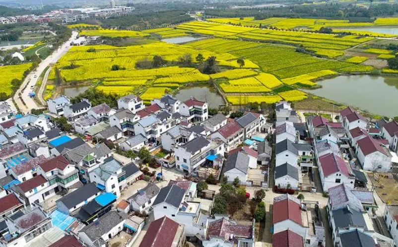 1656658463812276.png image.png