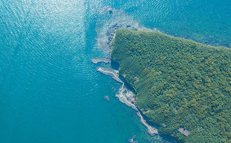 1658220514129326.png image.png