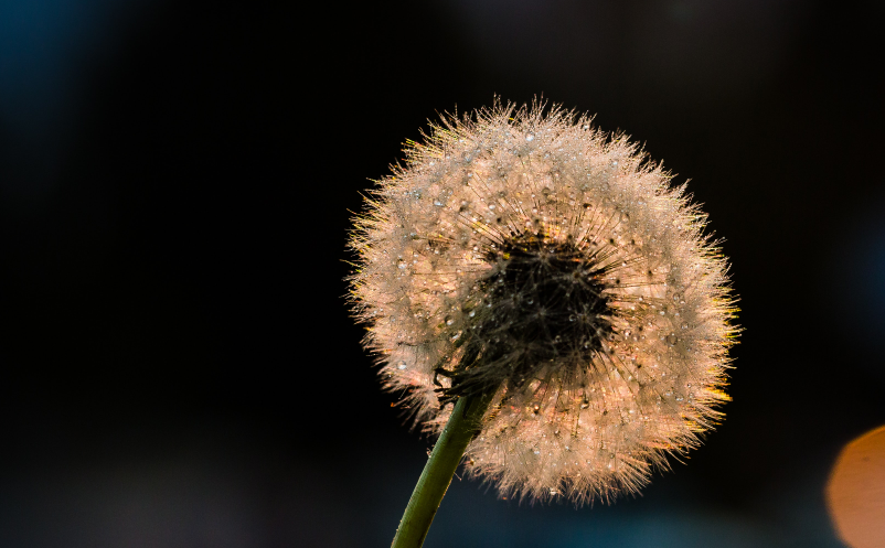 景区门票预约系统 景区门票预约系统