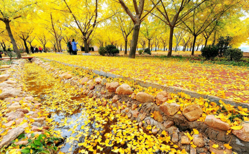 1670477289558670.png image.png