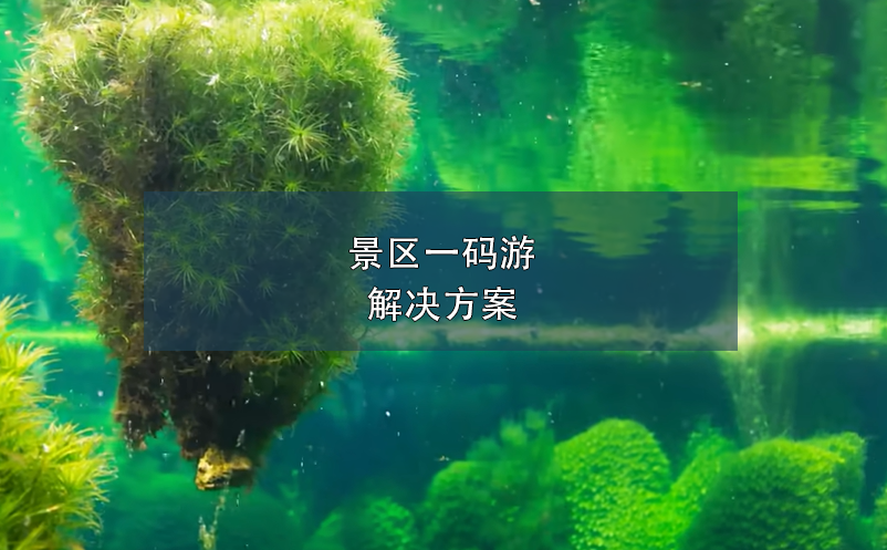 1713498278649171.png image.png