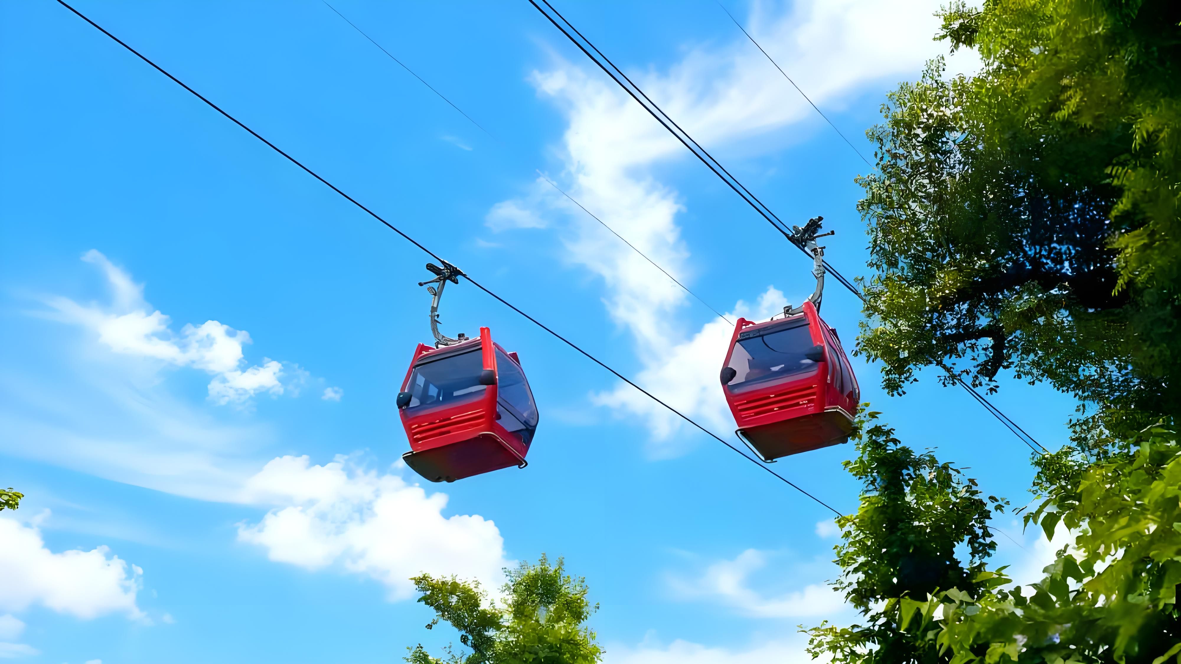 1760091349153645.jpeg 1760091349153645.jpeg